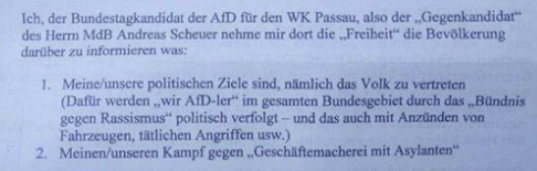 Ausschnitt AfD-Flyer